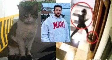 Kedi Eros için adalet aranıyor. Eros'un katili İbrahim Keloğlan bugün yeniden hakim karşısında!