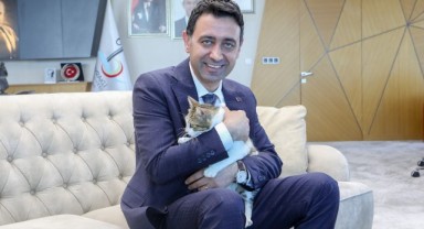 Başkan Önal, yaralı kediye sahip çıktı ‘sahiplenme’ çağrısı yaptı