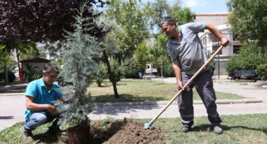 Bornova’da parklar yaza hazır