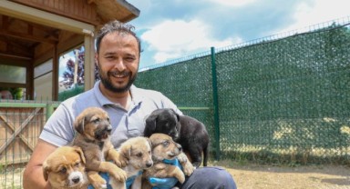 Buca Belediyesi’nden vicdani hamle “Yasayı Bekleme, Sahiplen!”