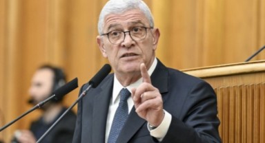 Dervişoğlu'ndan 'sokak hayvanları' açıklaması