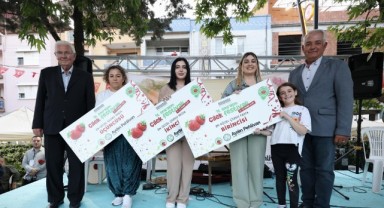 Emiralem çileği, yüz binleri Menemen'de buluşturdu