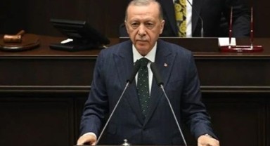 Erdoğan: Başıboş köpekler için sonraki adıma ihtiyaç kalmasın