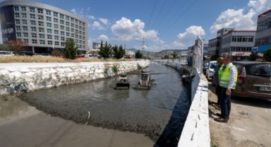 Kokuya karşı mücadelenin etkileri bu yaz görülecek