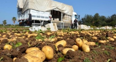Patates depoda 4 lira markette 20