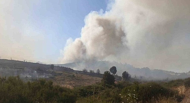 Foça'daki yangının arkasından iki sorumsuz çıktı: Yakalandılar