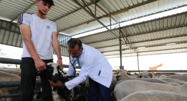 Karşıyaka’nın kurban pazarında hazırlıklar tamam
