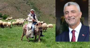 AKP'li Bakan Ömer Bolat: 25 bin Afgan çoban giderse hayvancılık biter