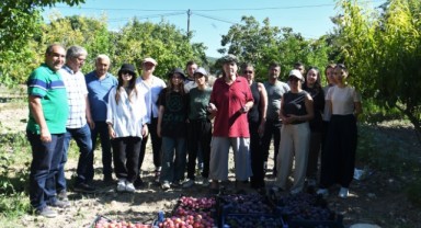 Bornova Belediyesi çiftçinin yardımına yetişiyor