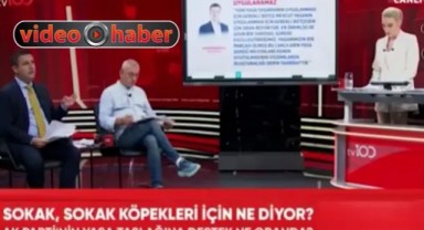 Canlı yayında