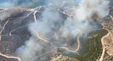 Çeşme'de orman yangını 3 can aldı... Müdahale sürüyor