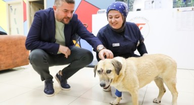 Saldırıya uğrayan can dostuna Buca Belediye Başkanı Duman'dan ziyaret
