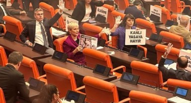 Sokak köpeklerine ilişkin yasa teklifi TBMM Genel Kurulu’na geldi, muhalefet direniyor