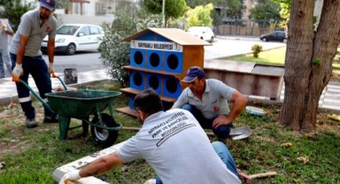 Bayraklı'da pati evlerinin sayısı artıyor