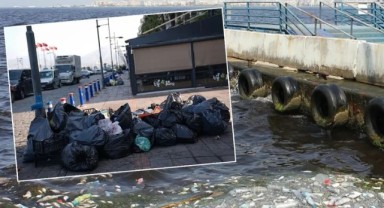Burası İzmir’in merkezi: Bir tarafta çöp yığınları, bir tarafta ölü balıklar