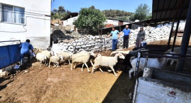 Büyükşehir yangından etkilenen köylerin yaralarını sarıyor