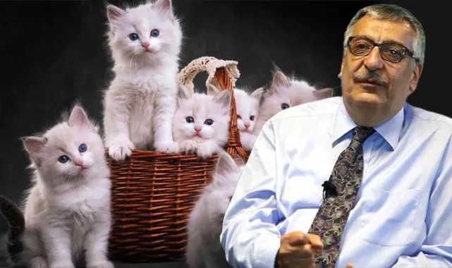 Gazeteci Hakkı Öcal'ın sözleri tüyler ürpertti!