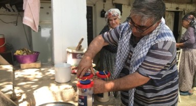 İncirde ekşilik böceği ile doğal mücadele