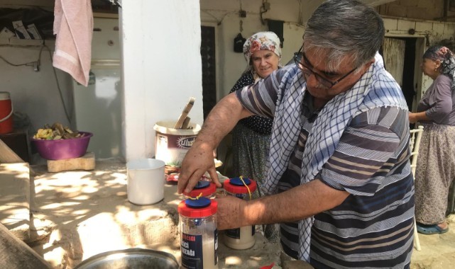 İncirde ekşilik böceği ile doğal mücadele