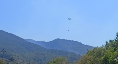 İtfaiye ekipleri, Kemalpaşa yangınına müdahale ediyor