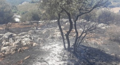 İzmir’de yangın fabrikalara ulaşmadan kontrol altına alındı