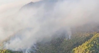 Manisa ve Uşak'taki yangınlar kontrol altına alındı