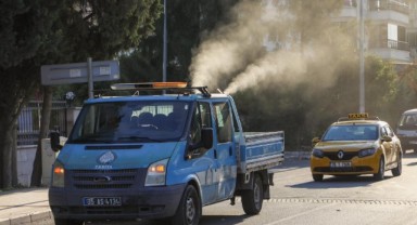 Buca Belediyesi, beyaz sineklere karşı ilaçlama başlattı