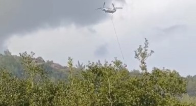 İki ilçede çıkan yangınlara İzmir İtfaiyesi’nden hızlı müdahale