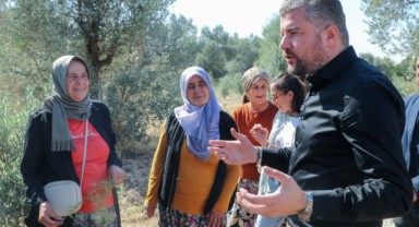 Buca Belediye Başkanı Görkem Duman, çiftçi kadınlarla ilk zeytin hasadına katıldı