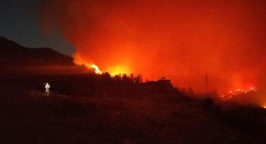 İzmir Foça'da orman yangını