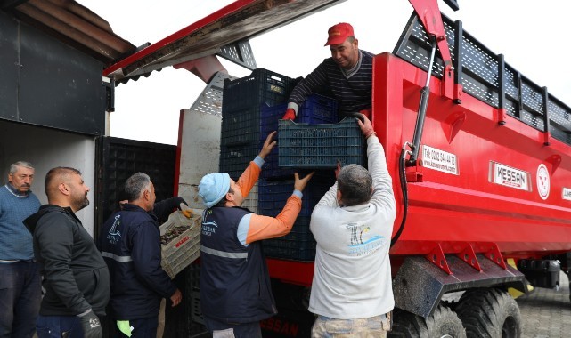 Seferihisar’da Zeytinyağı Sezonu Açıldı