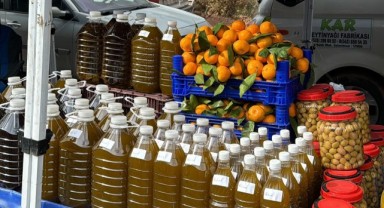 Seferihisar Orhanlı'da zeytin hasat festivali