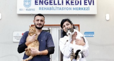 Konak’ın engelleri aşan Kedi Evi’nden sahiplenme çağrısı