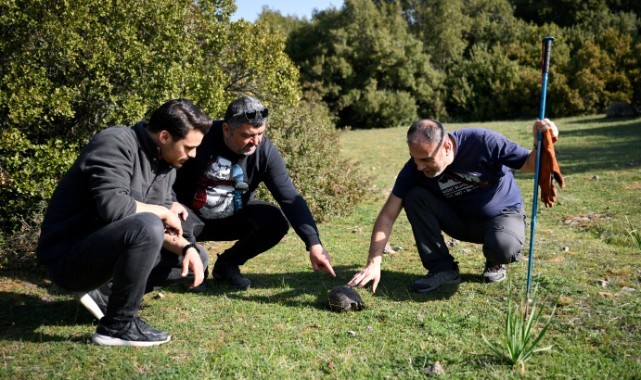 Bornova’nın doğal zenginliği gün yüzüne çıkıyor