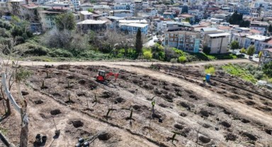 Bornova yeni bir orman kazanıyor