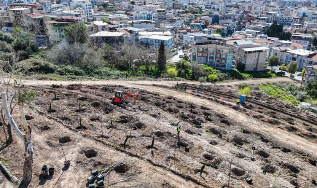 Bornova yeni bir orman kazanıyor