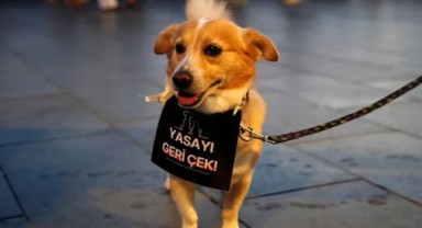 'Katliam Yasası' Baskısı Büyüyor! CHP'li Belediyelere Yeni Soruşturma Sinyali
