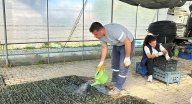 Seferihisar Belediyesi Tohum Takas Şenliği’ne hazırlanıyor