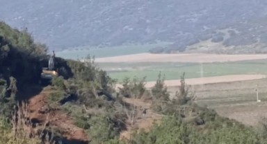 Tire'de son durum... Ağaç kesimi başladı!