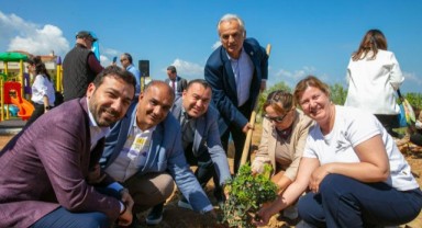 Güzelbahçe’de Sakız Ağaçları Büyüyecek