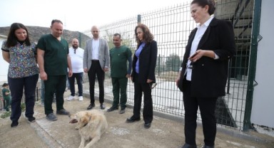 Karşıyaka yeni hayvan yaşam merkezine kavuşuyor