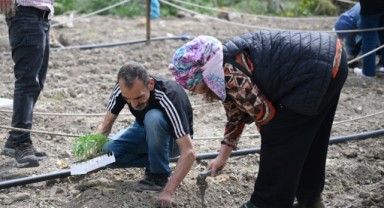 Toprakta dayanışma, sofralarda umut