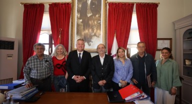 Balıklıova'da üreticinin yüzü “zeytinle” gülecek
