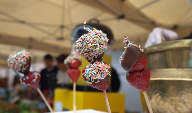 Menemen'de festival coşkusu yaşanacak