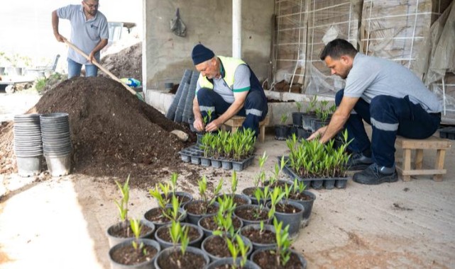 Sanki cennetten bir köşe