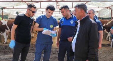 Buca’da Kurban Bayramı öncesi sıkı denetim