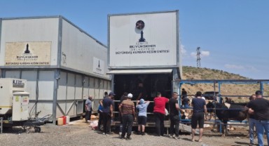 Büyükşehir’den bayramda güvenli ve hijyenik kesim hizmeti