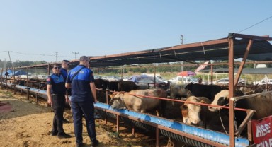 Çiğli’de kurban pazarlarına ve kesim noktalarına sıkı denetim