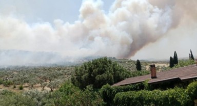 Dün Mordoğan bugün Foça... Kabus sürüyor!