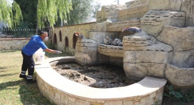Efes Selçuk’ta Halk Sağlığı İçin Kapsamlı İlaçlama Seferberliği